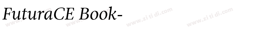 FuturaCE Book字体转换